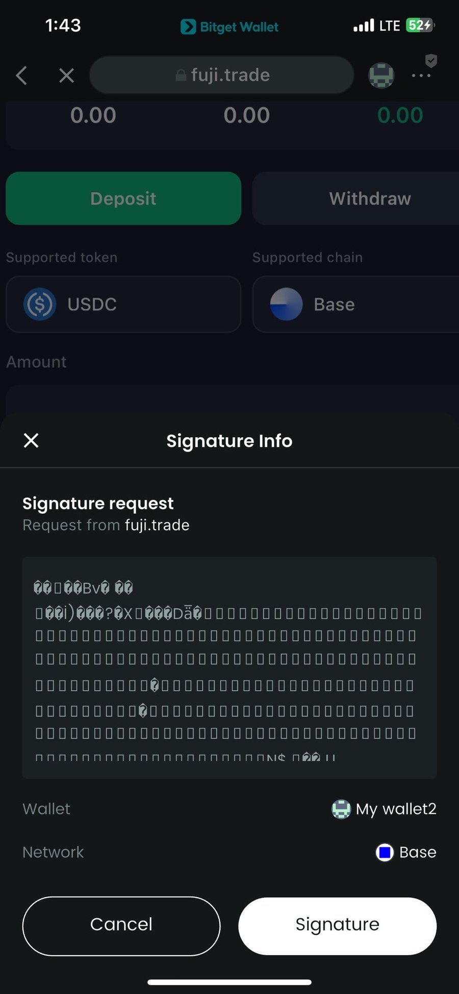 Wallet signature text displayed unreadable characters during transaction approval.